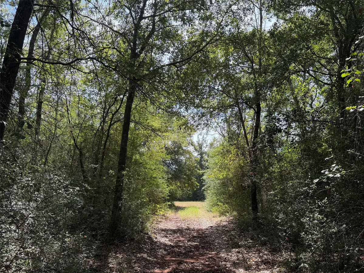 12 ac Pr 4140, Marquez, TX 77865 - #1