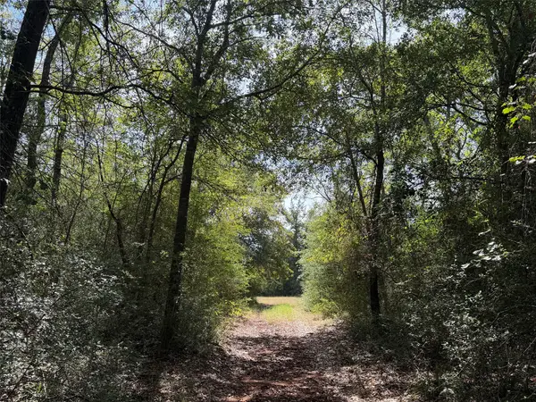 12 ac Pr 4140, Marquez, TX 77865