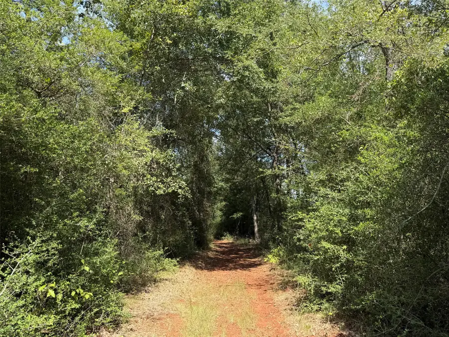 12 ac Pr 4140, Marquez, TX 77865 - #3