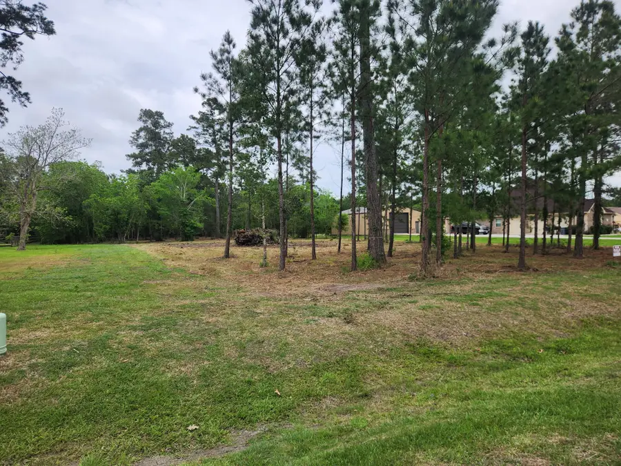 7203 Bayou Timbers Drive, Alvin, TX 77511 - #2