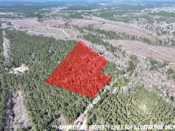 422 County Road 4088, Bon Wier, TX 75928