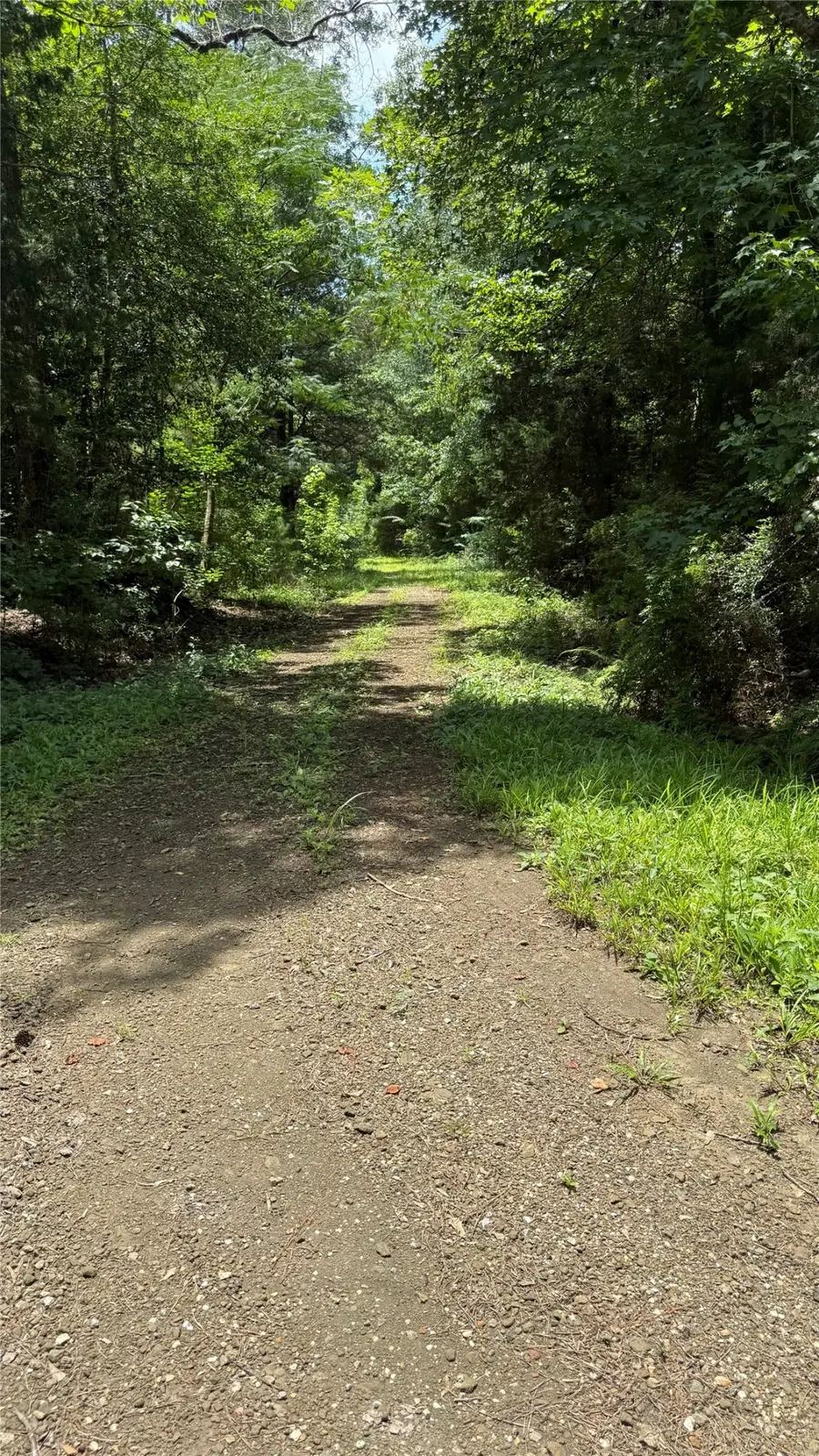 422 County Road 4088, Bon Wier, TX 75928 - #2