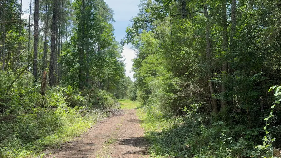 422 County Road 4088, Bon Wier, TX 75928 - #3
