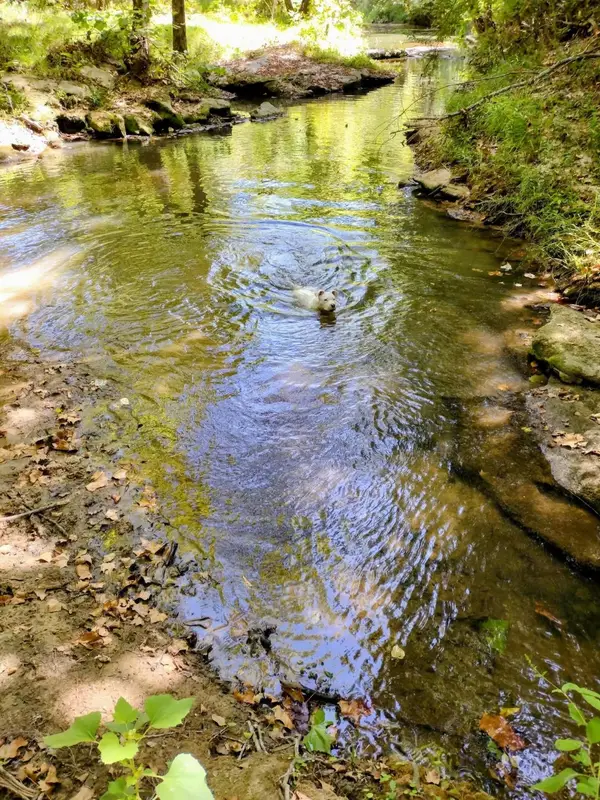 12895 County Road 201, Plantersville, TX 77363