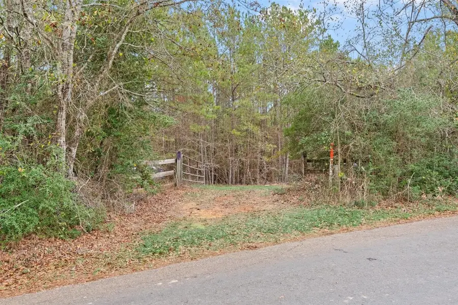 12895 County Road 201, Plantersville, TX 77363 - Image #2