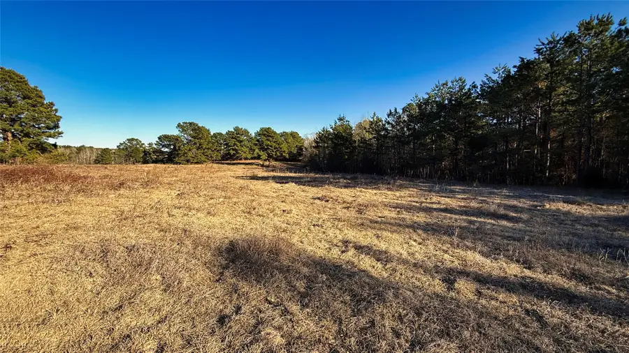 TBD #10 County Road 477, Henderson, TX 75654 - #3