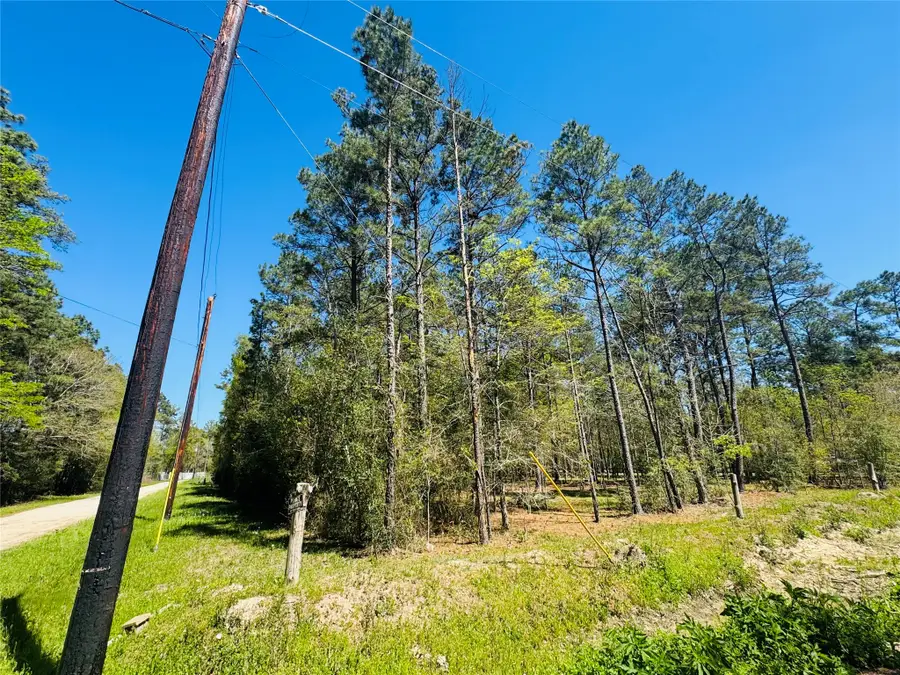 00 Creekbend Drive, Plantersville, TX 77363 - #2