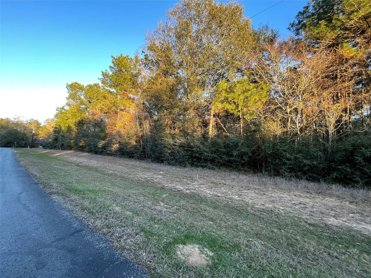 28921 Mustang Drive, Waller, TX 77484 - Image #1