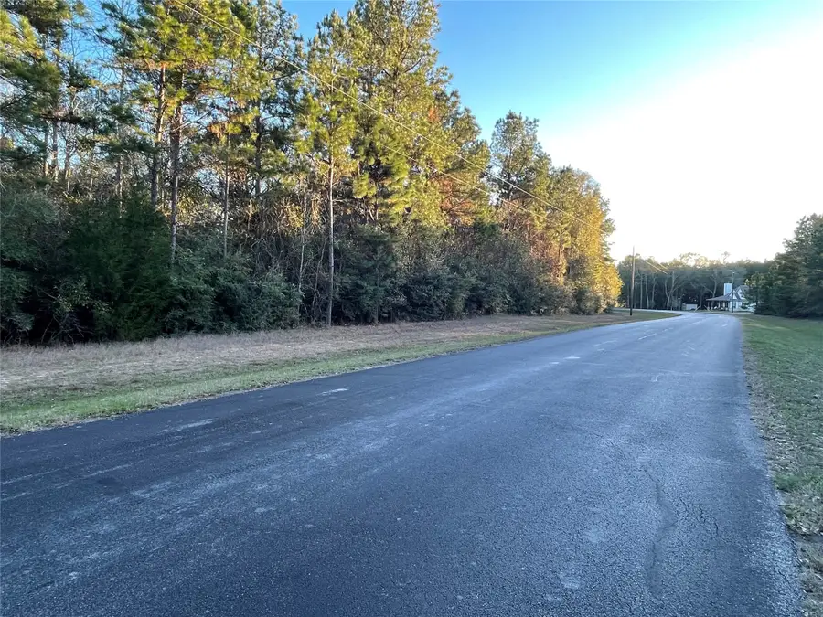 28921 Mustang Drive, Waller, TX 77484 - Image #2