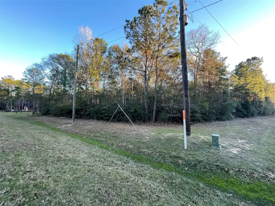 28921 Mustang Drive, Waller, TX 77484 - Image #3