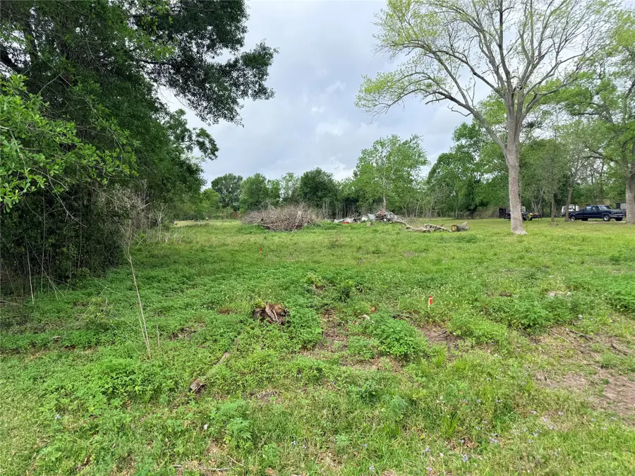 3704 Boone, Damon, TX 77430 - #2