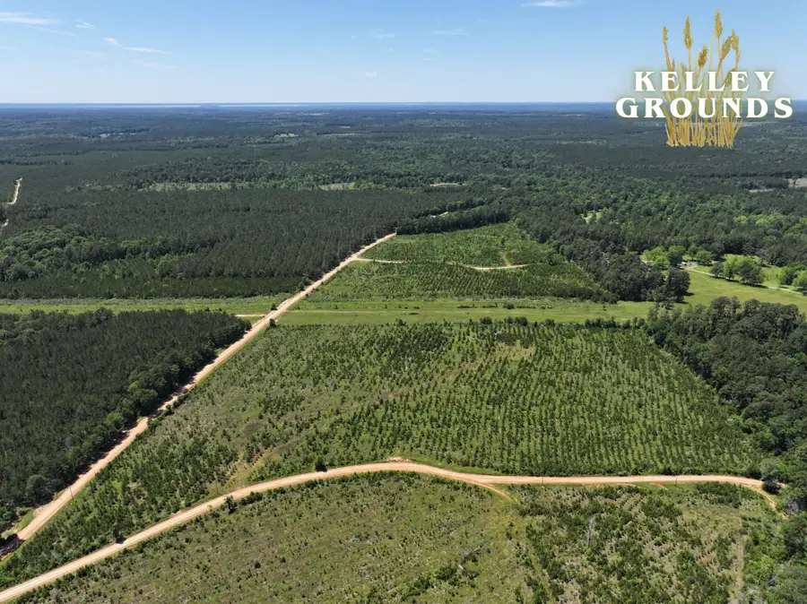 1-7 L Kelley Road, Livingston, TX 77351 - #3