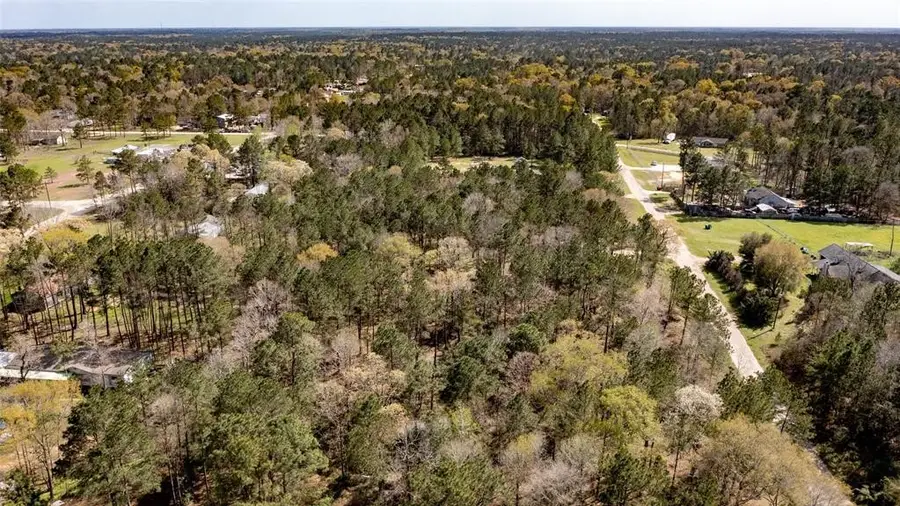 TBD1 Humbird, Shepherd Evergreen, TX 77328 - Image #2