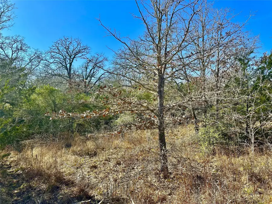 0 Wood Haven Drive, Waelder, TX 78959 - Image #2