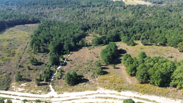 Tract #20 Vineyard View Trail, Grapeland, TX 75844
