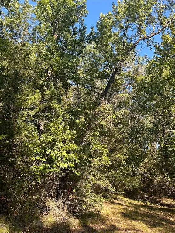 TBD Joanna Hill, Livingston, TX 77351 - #2