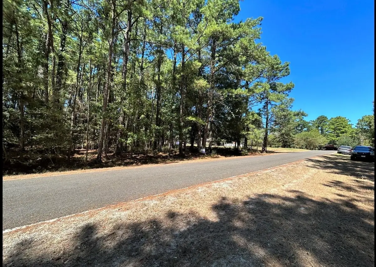 0 Mockingbird Hills, Livingston, TX 77351 - #1