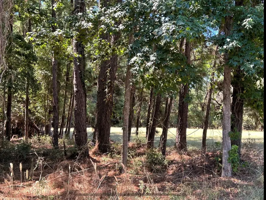 0 Mockingbird Hills, Livingston, TX 77351 - #3