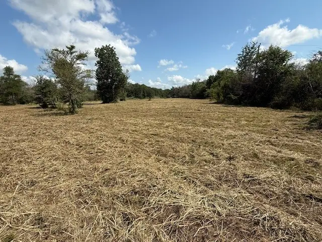 14610 Highway 21 W, North Zulch, TX 77872 - Image #2