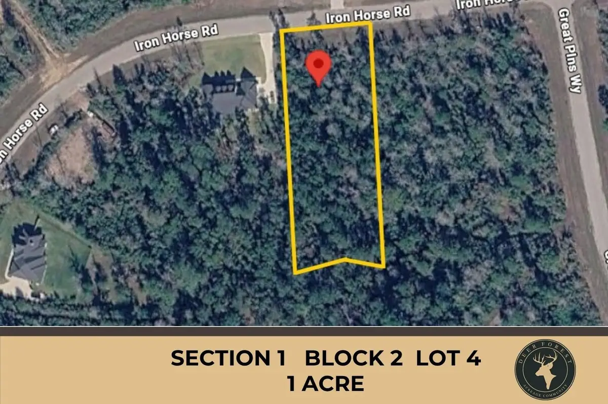 284 Iron Horse Road, New Waverly, TX 77358 - #1