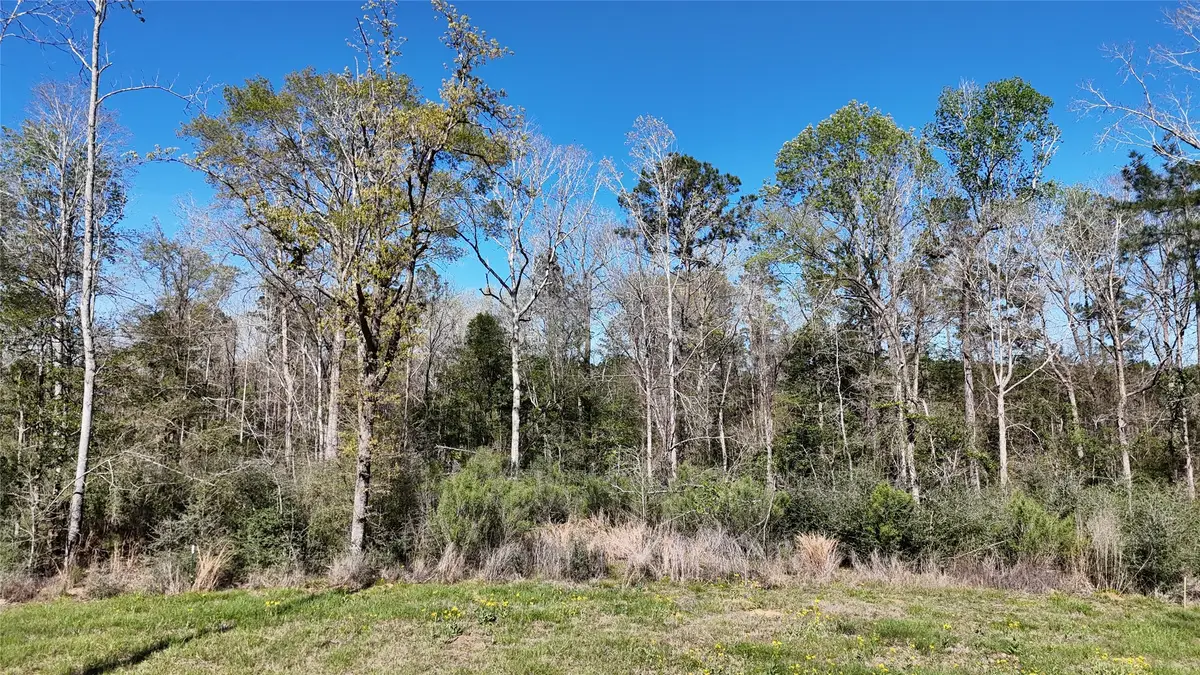 TBD 8 & 9 Aggie Avenue, Livingston, TX 77351 - #1