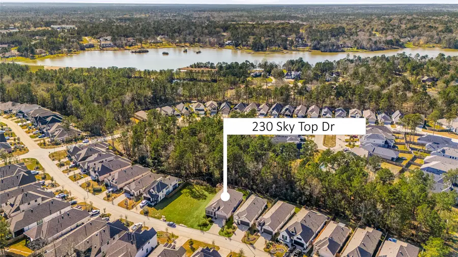 230 Sky Top Drive, Montgomery, TX 77316 - #2