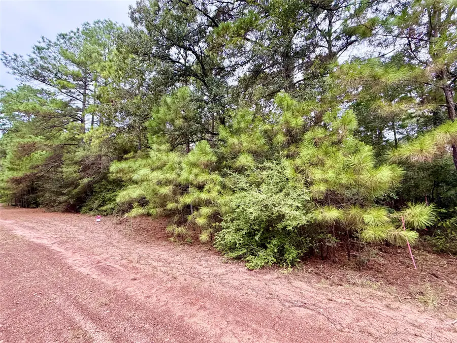 30819 Owl Drive, Hempstead, TX 77445 - #2