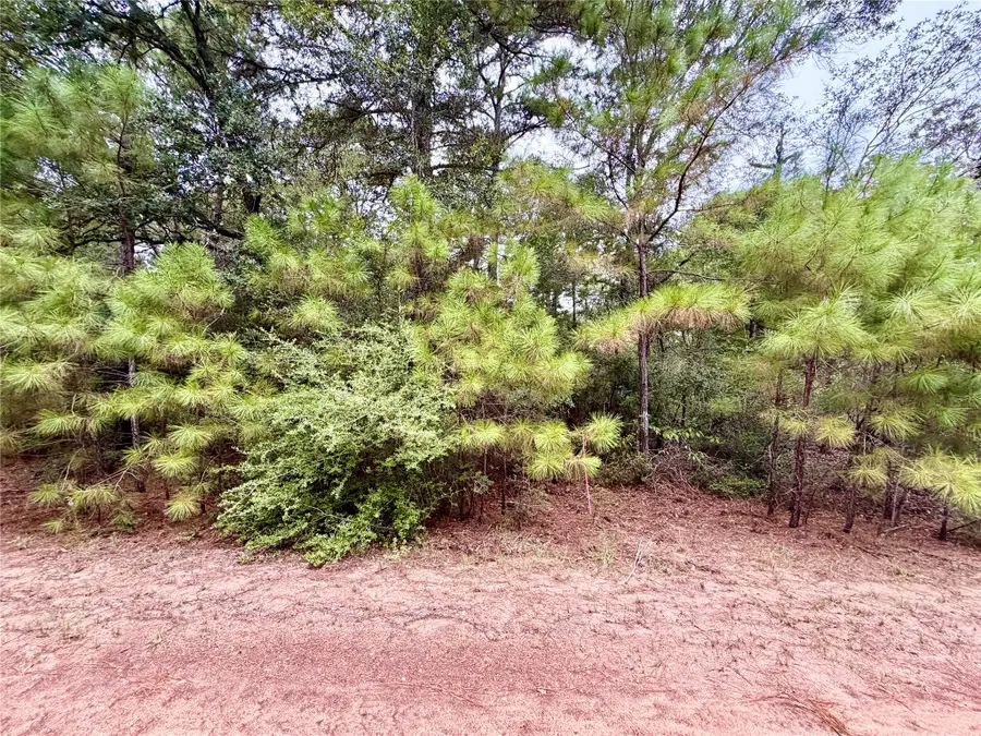 30819 Owl Drive, Hempstead, TX 77445 - #3