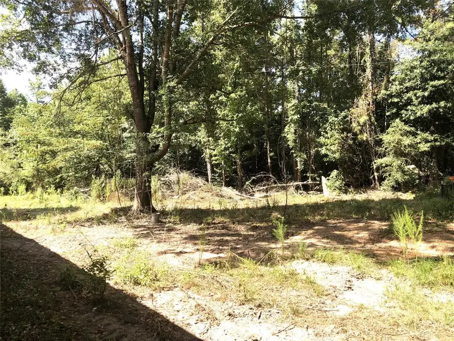 Tract 3.1 Sylvia Trail, Coldspring, TX 77331 - Image #2