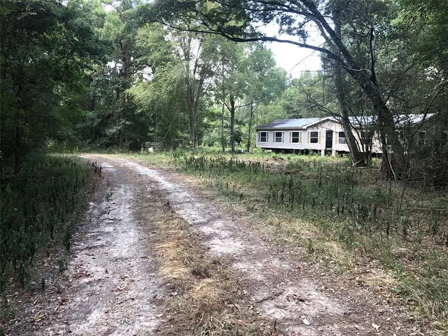 Tract 3.1 Sylvia Trail, Coldspring, TX 77331 - Image #3