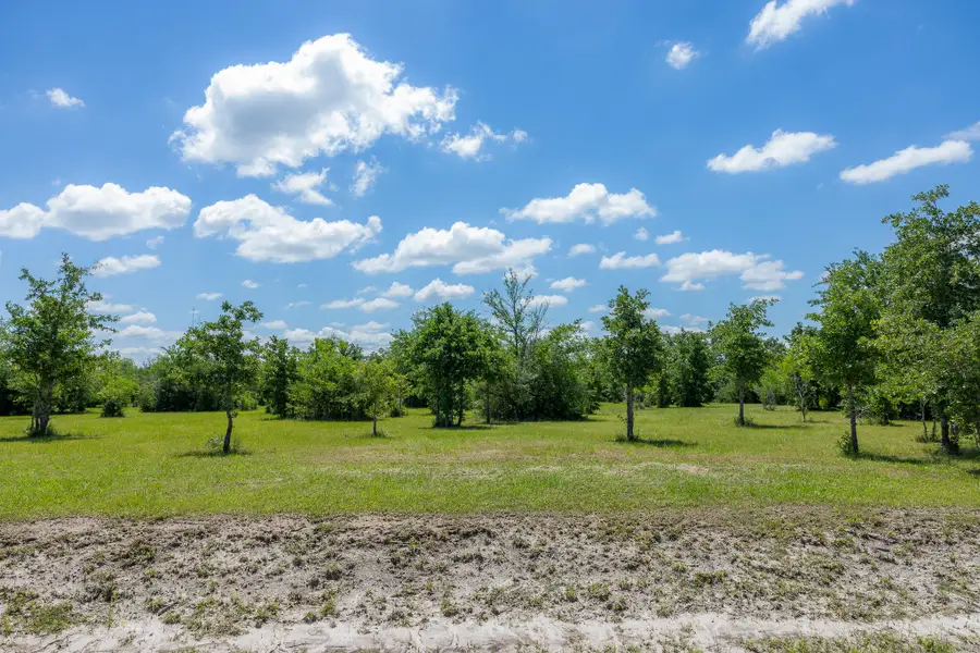 6774 Atakapan Trail, Bedias, TX 77831 - #2