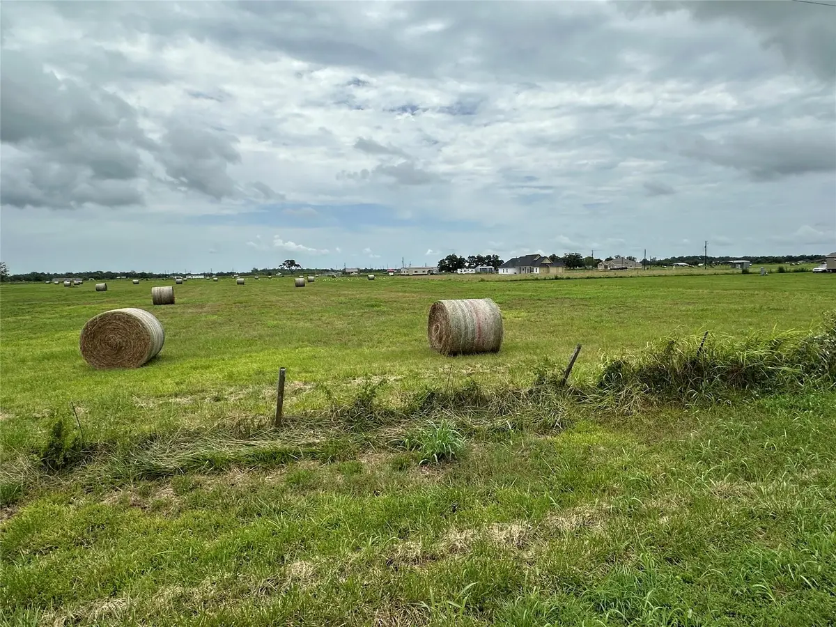 0 Cr100, Boling, TX 77420 - #1