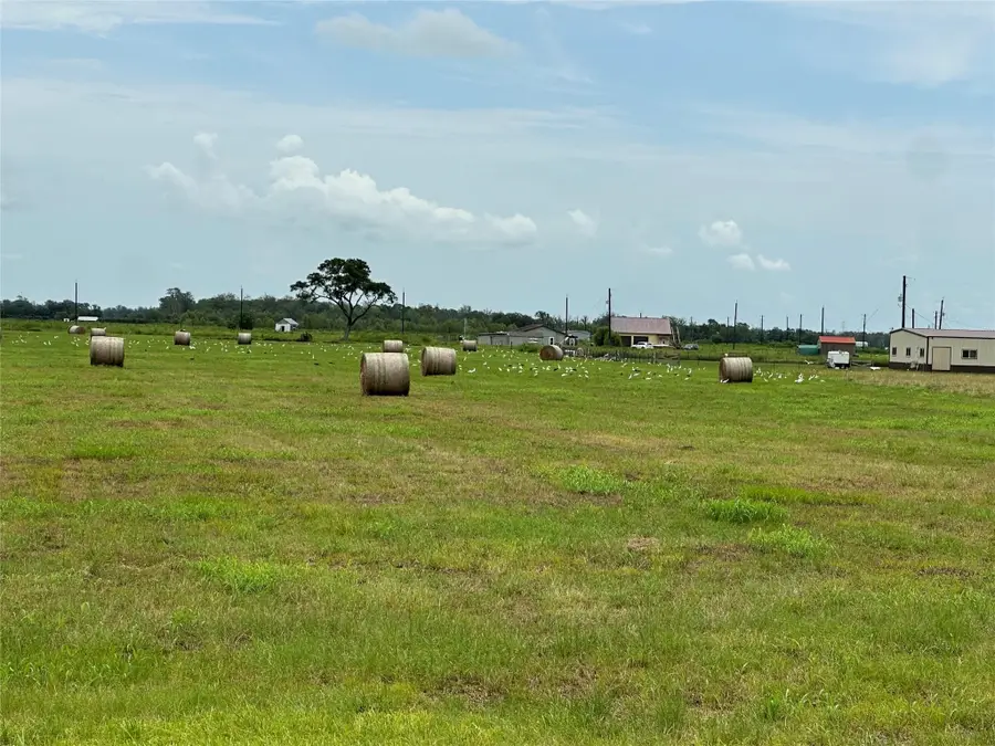 0 Cr100, Boling, TX 77420 - #2