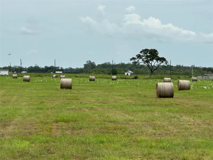 0 Cr100, Boling, TX 77420 - #3