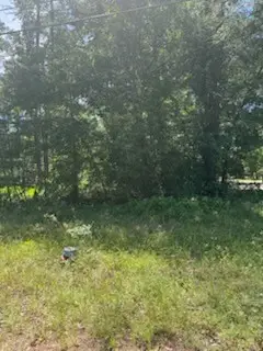 15829 Cottonwood Drive, Montgomery, TX 77356 - #1