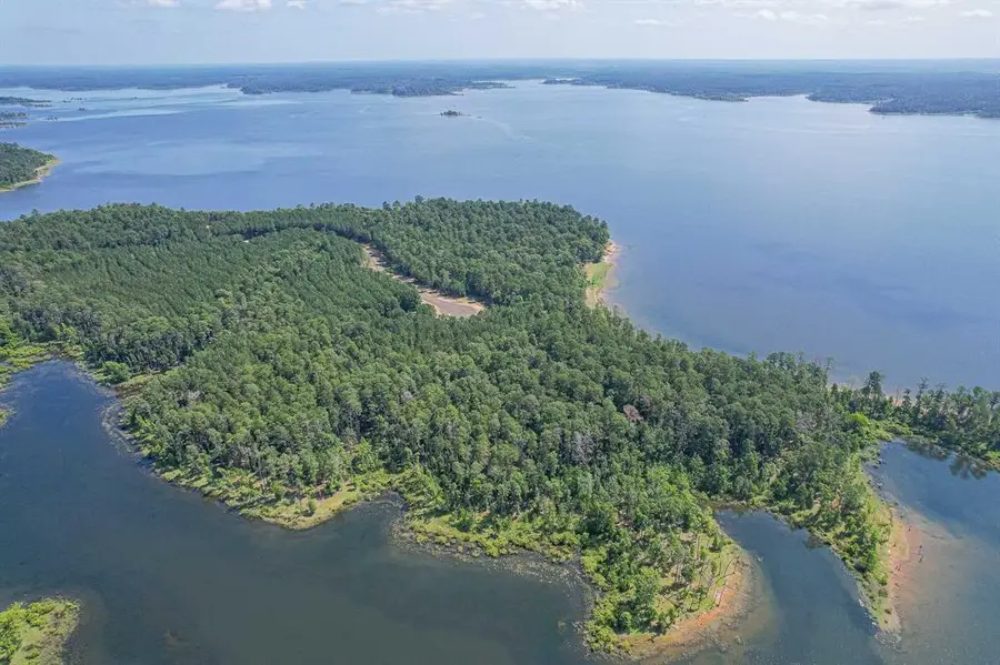 id 25417  Lot 60 Fm 705, Broaddus, TX 75929 - Image #3