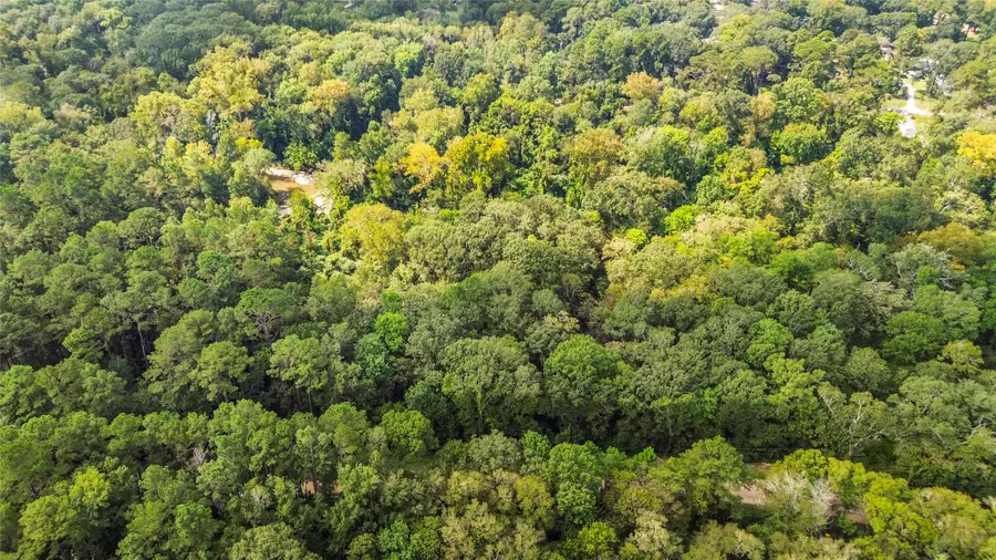 12865 Royal Forest Dr, Conroe, TX 77303 - Image #3