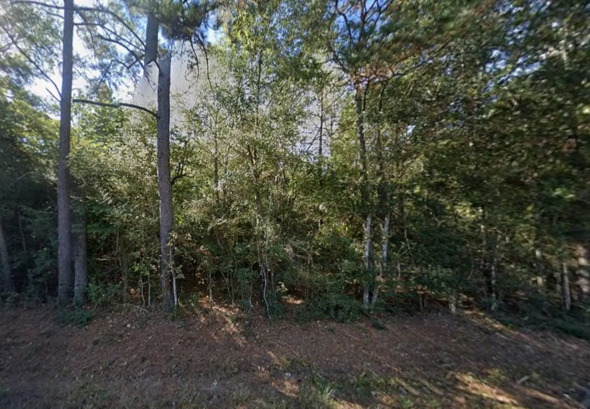 0 Kyle Road, Waller, TX 77484 - #1