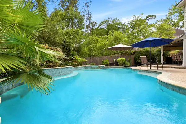 38 Dovewing Place, The Woodlands, TX 77382