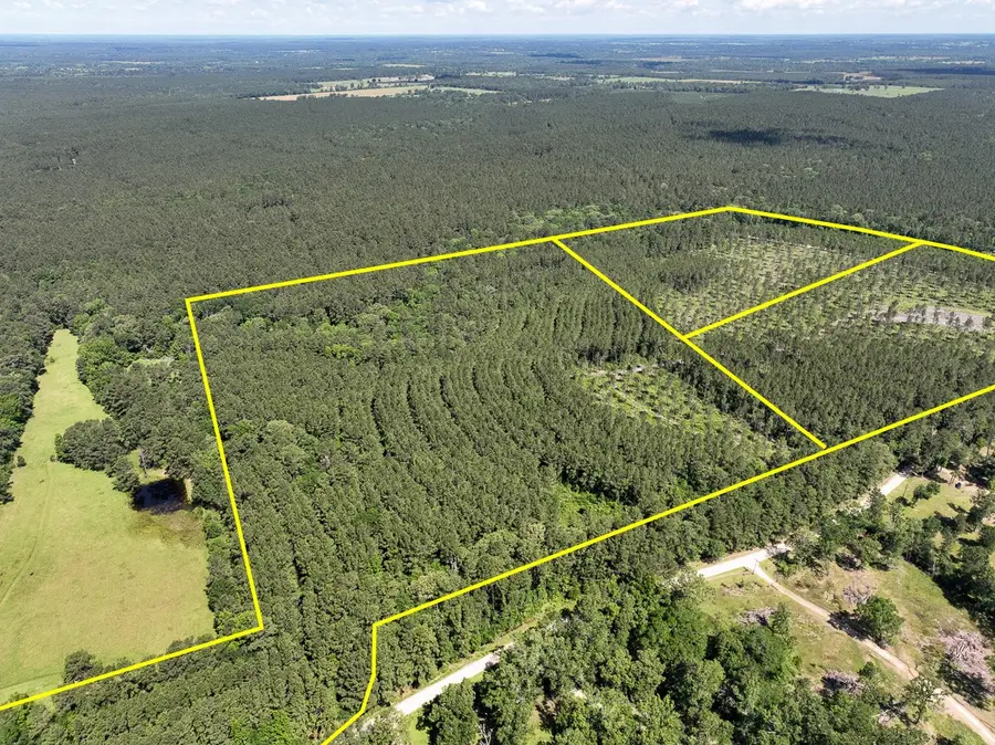 38 Groveton Flat Prairie Rd, Groveton, TX 75854 - Image #2