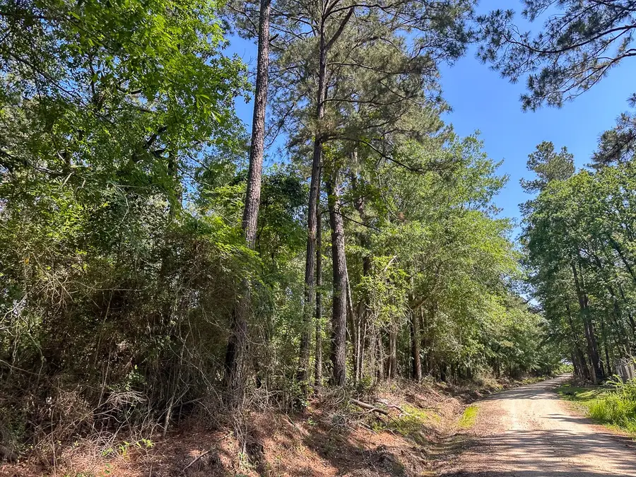 38 Groveton Flat Prairie Rd, Groveton, TX 75854 - Image #3