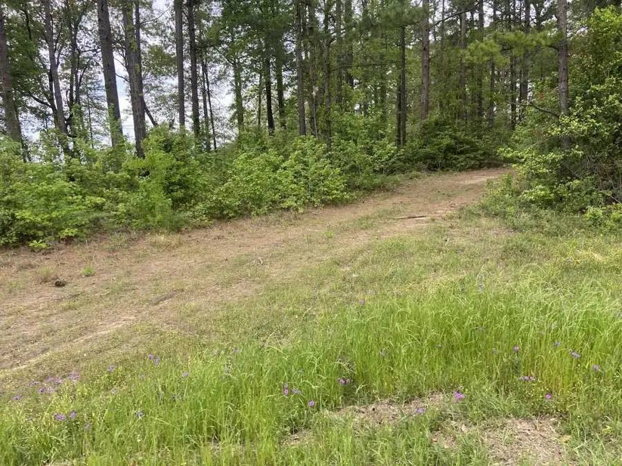 Lot 34 Us Highway 96, Pineland, TX 75931 - Image #2