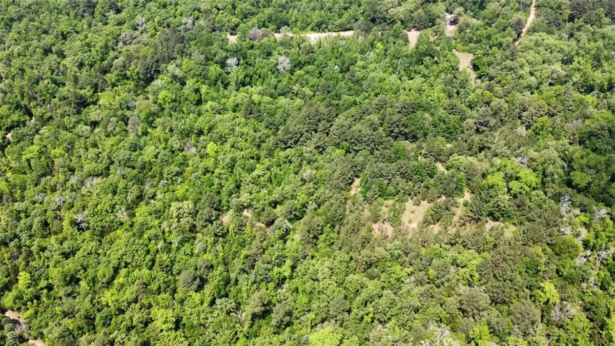 0 Pr 2210, Buffalo, TX 75831 - #1