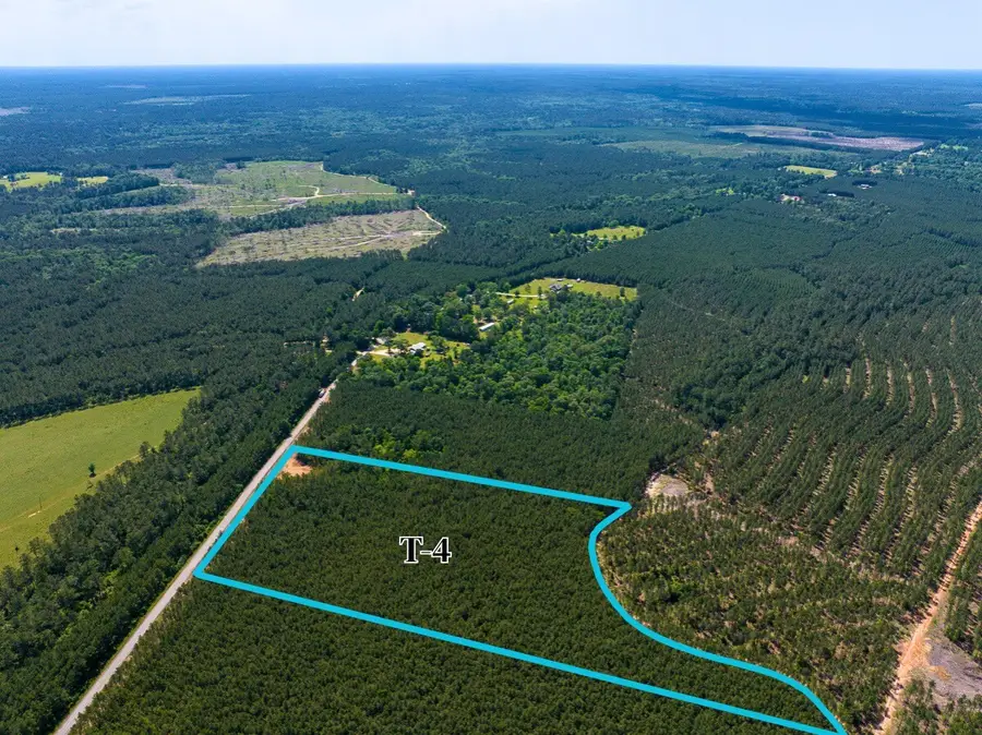 4 Camp Ruby Road, Livingston, TX 77351 - #3
