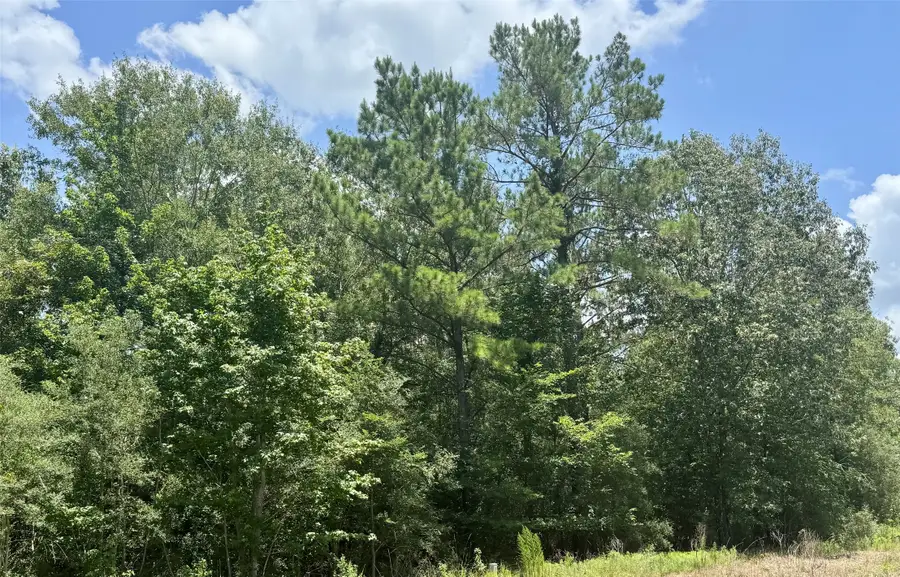 Lot 14 Riverstone Drive, Livingston, TX 77351 - #3