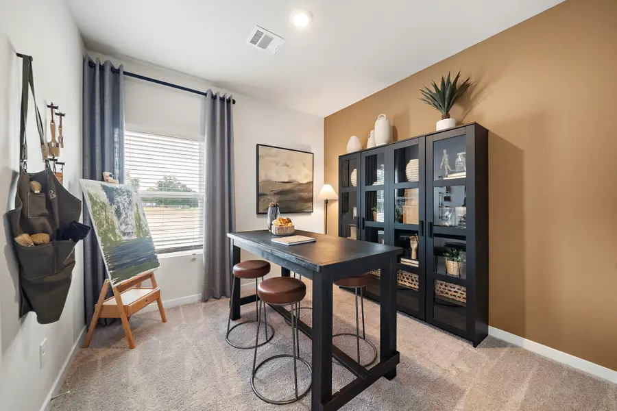 29230 Dandelion Sky Drive, Waller, TX 77484 - #3