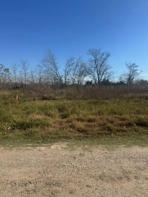 13811 Mary Kay Lane, Houston, TX 77048 - #3