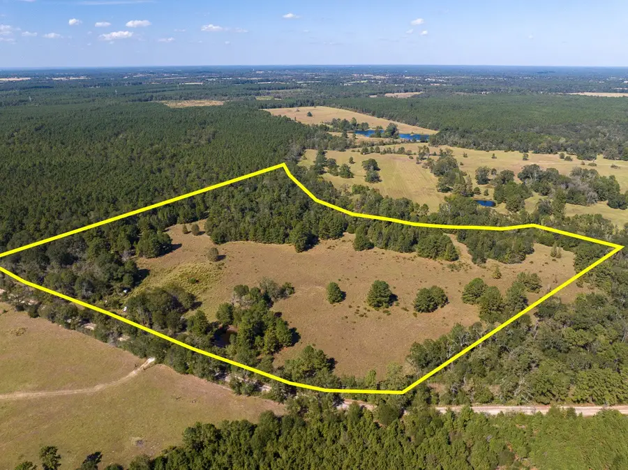 1 County Road 3575, Lovelady, TX 75851 - Image #3