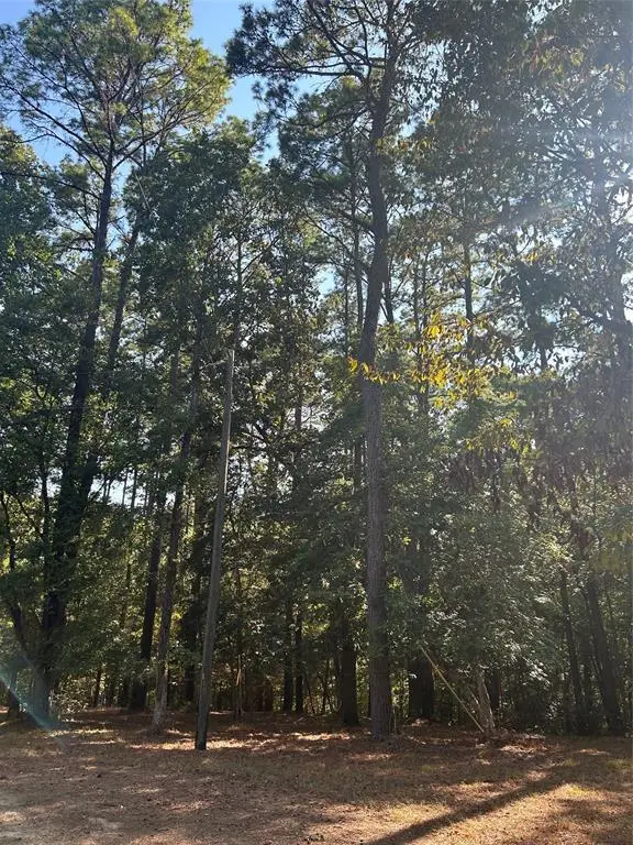 TBD Weepee Drive, Livingston, TX 77351 - #2