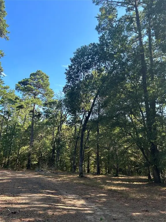 TBD Weepee Drive, Livingston, TX 77351 - #3